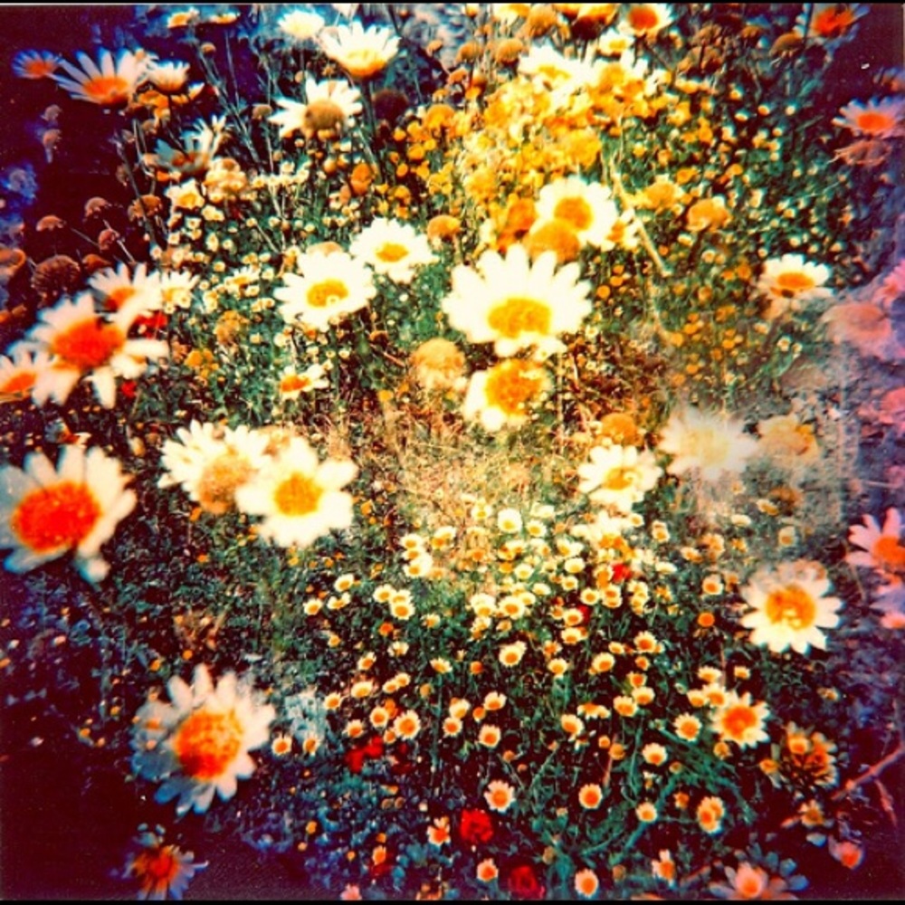 Meet your Posher, Mariza